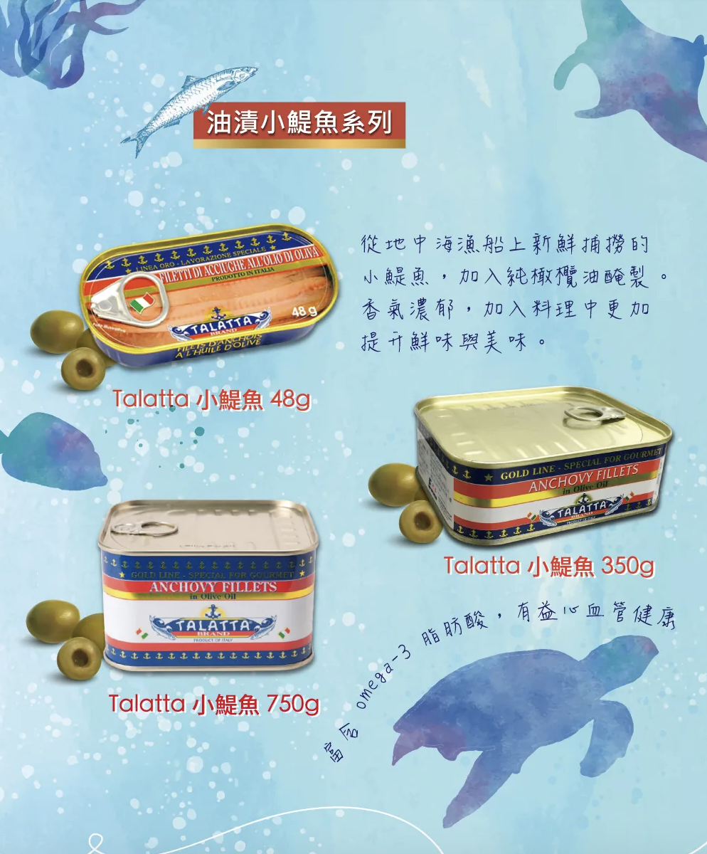 小鯷魚介紹