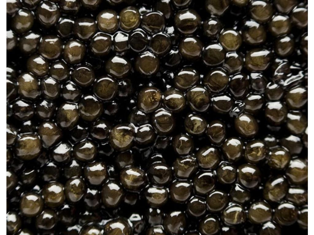 Caviar baeri vintage 3