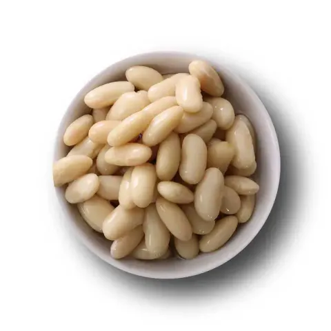 800x-62