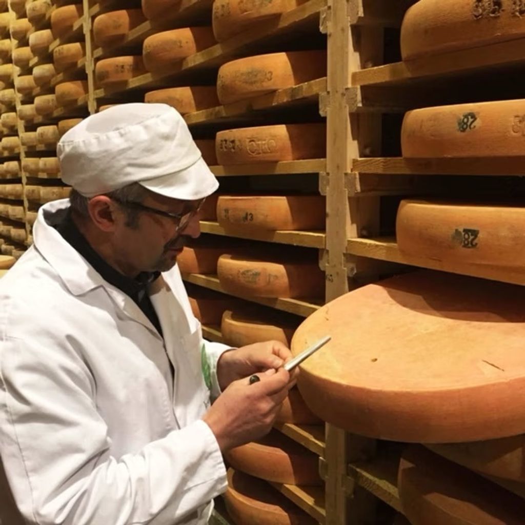comte 36個月