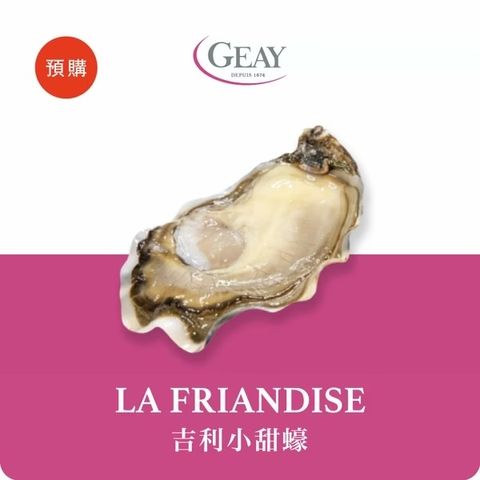 吉利小甜蠔1