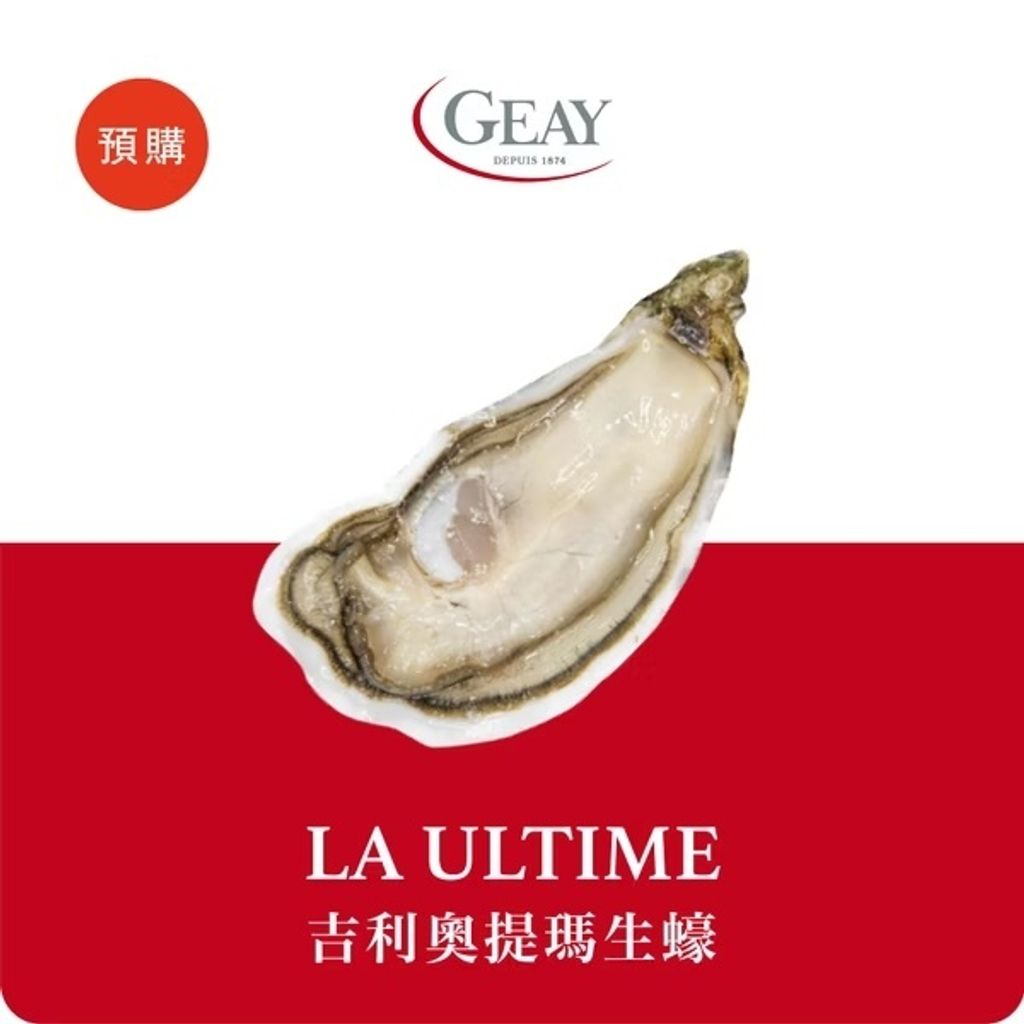 吉利奧提瑪生蠔