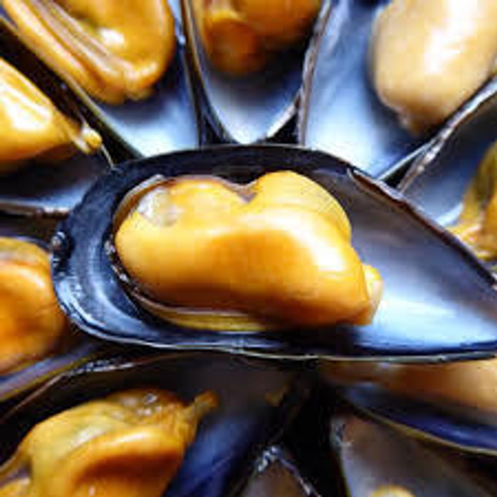 mussels1
