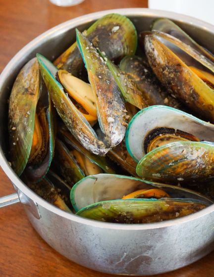 Mussel Stock-3