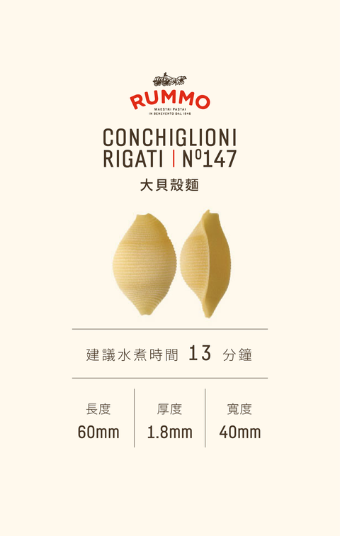 大貝殼