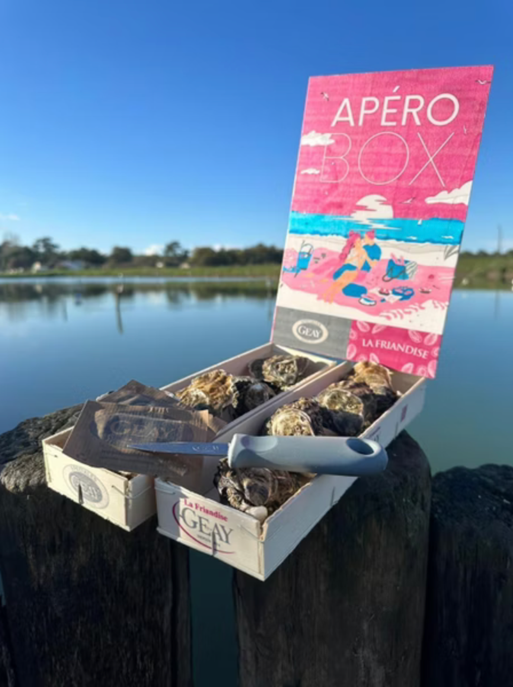 截圖 2026-01-06 下午4.42.44