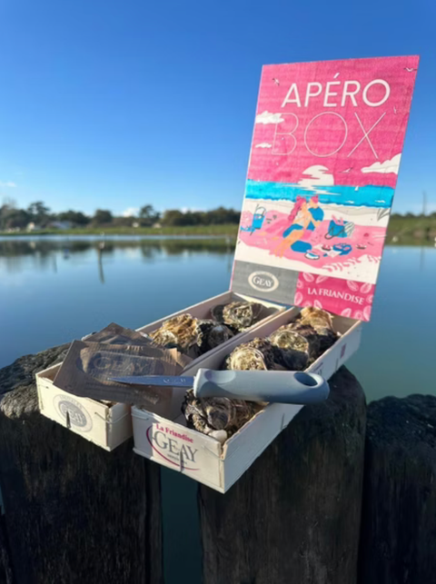 截圖 2026-01-06 下午4.42.44