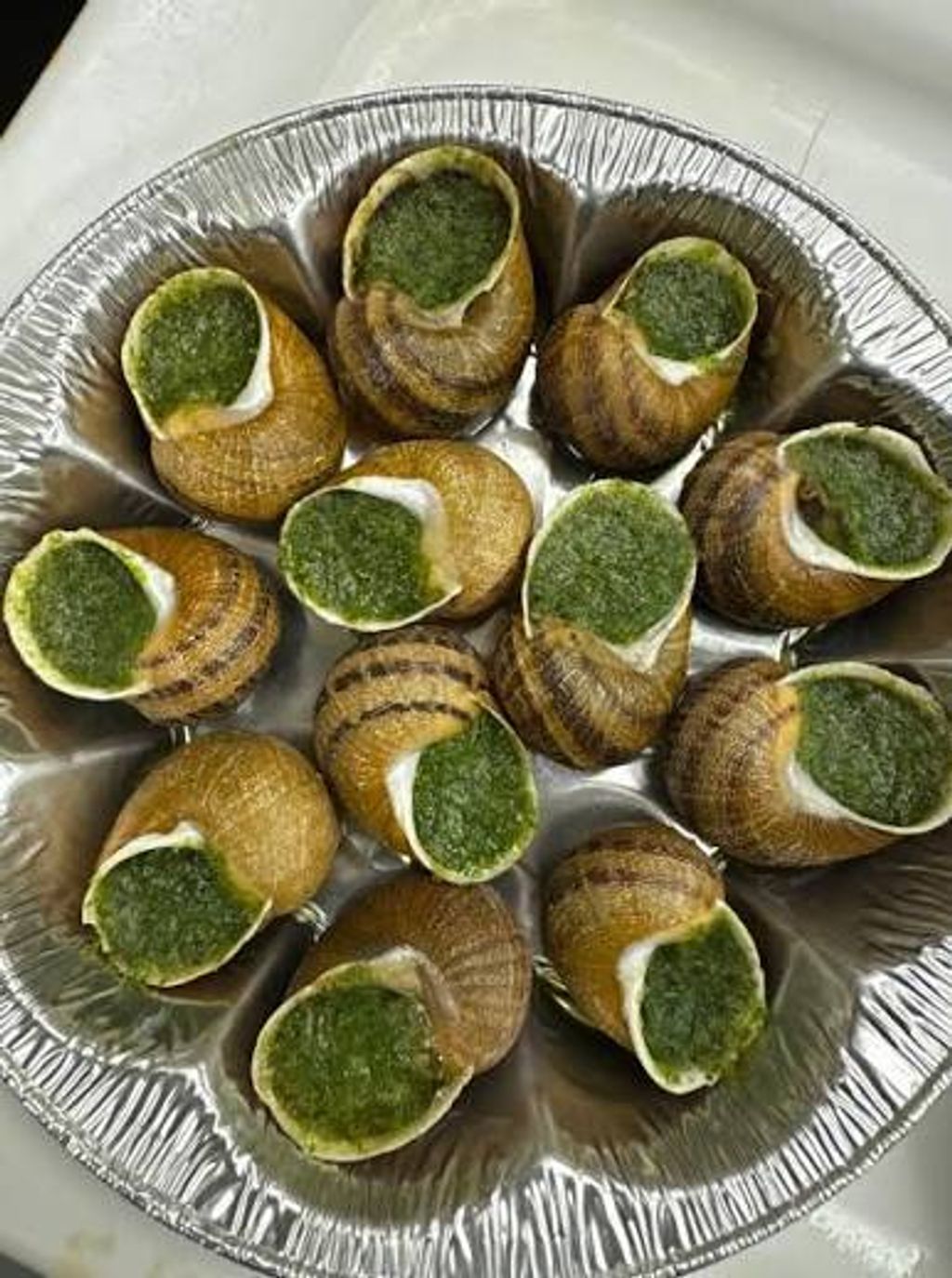 image_85AD00B5-8956-414B-97D3-B62AF5848F17_1768208596