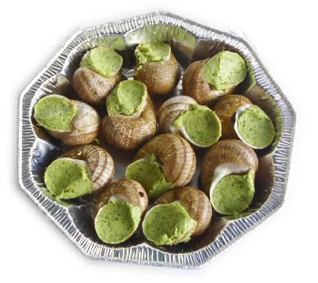 image_6B5FC3B2-D871-409D-83F1-44F97542AE7F_1768208596