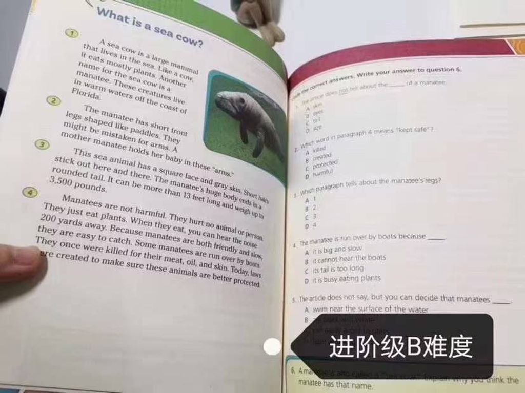 圖片_20250315235947