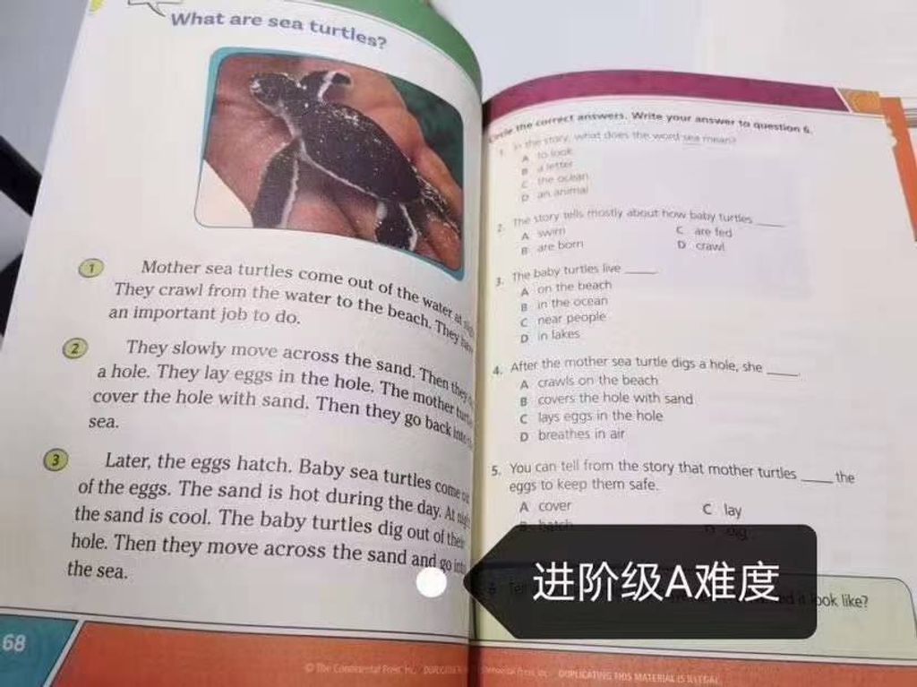 圖片_20250315235944