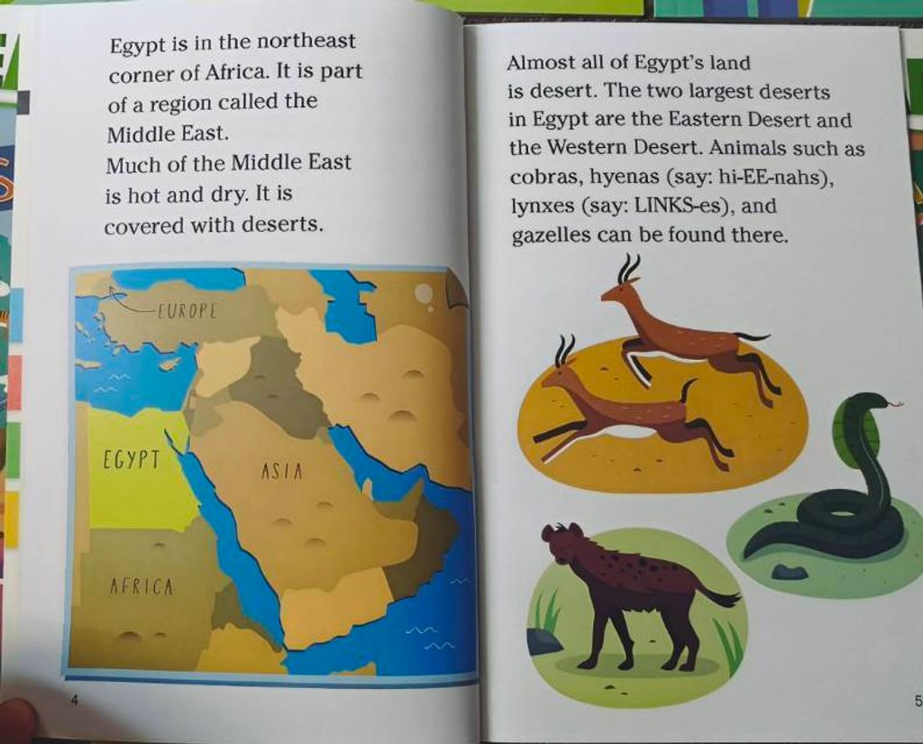 image_8736AB4B-CA37-4864-B41F-5B10D671084C_1763711922