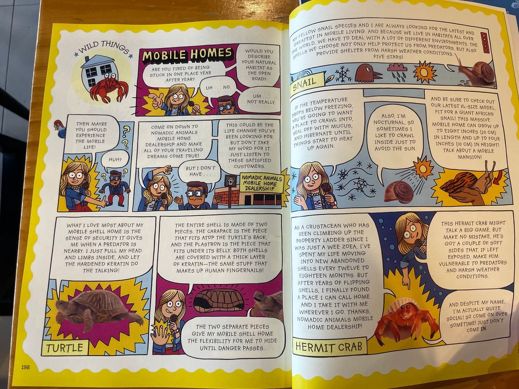 image_C98ED3E1-C6AB-4E90-86A9-FB88DCCE4467_1764923114