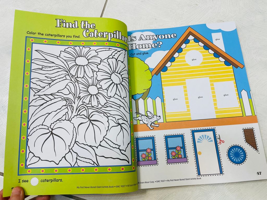 image_FB741F0C-3449-44A3-8E53-3704915812E8_1766657829