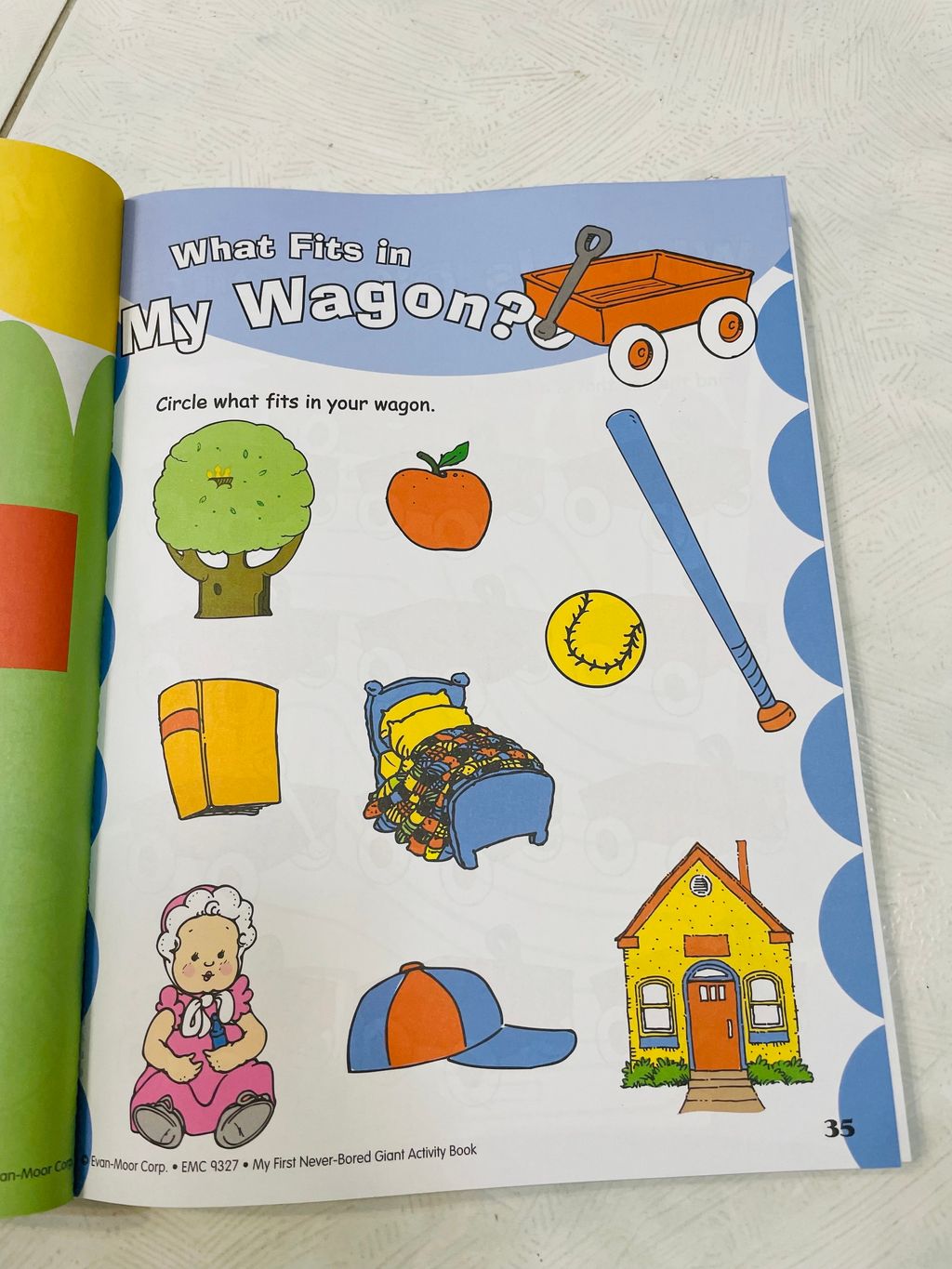 image_FA196865-67BF-480F-AB5D-A7FAF3A58107_1766657830