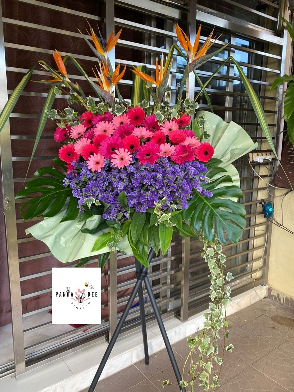 WhatsApp Image 2023-09-06 at 3.21.05 PM