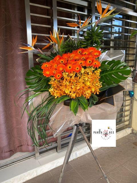 WhatsApp Image 2023-09-06 at 3.21.19 PM