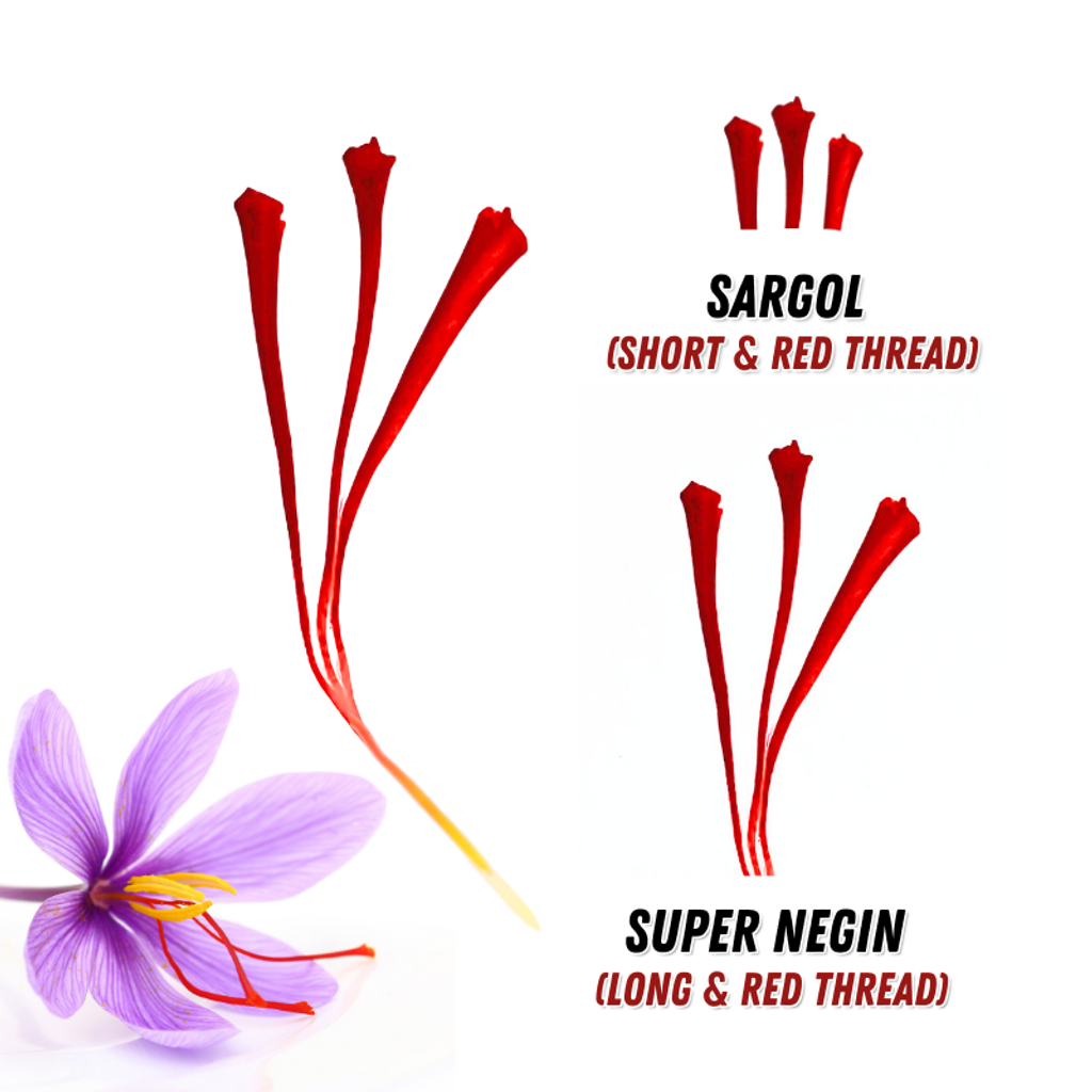 super-negin-sargol-grade-comparison-saffron-silk-road-premium-quality