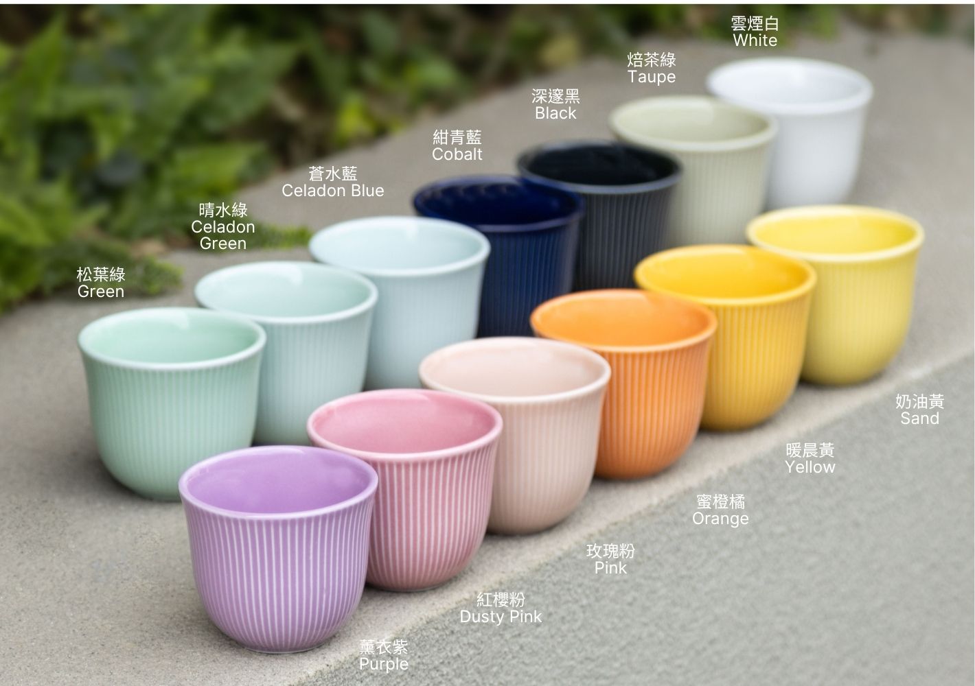 粉彩條紋品飲杯13色色名標注戶外
