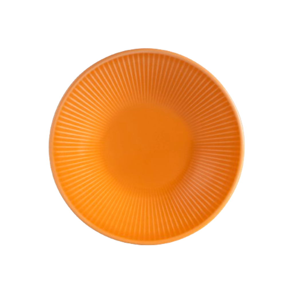 C099-126BOR-removebg-preview