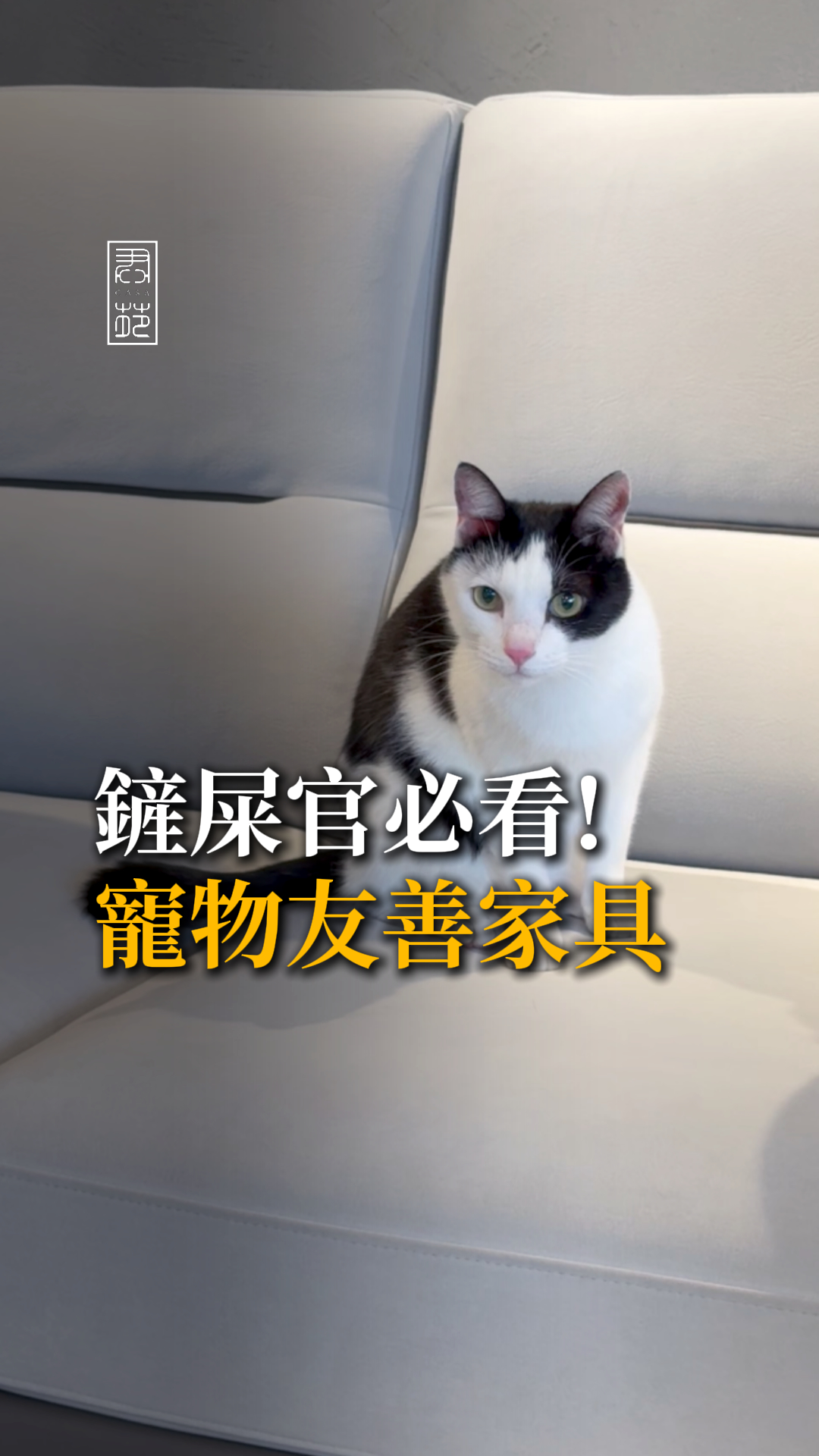 養寵物 = 家具報廢？😱
