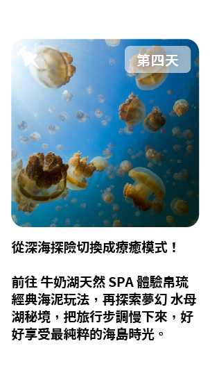 帛琉行程 第四天