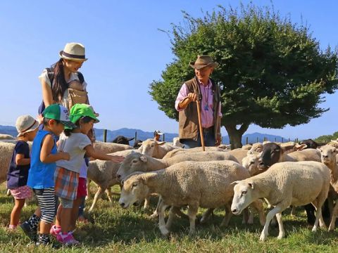 畔畔官網_東京_大阪商品圖片_工作區域 1 複本 49