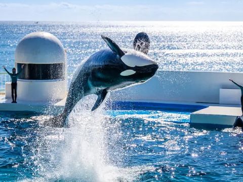 畔畔官網_東京_大阪商品圖片_工作區域 1 複本 48