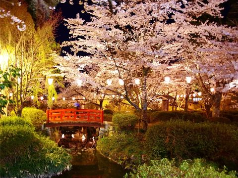 畔畔官網_東京_大阪商品圖片_工作區域 1 複本 58