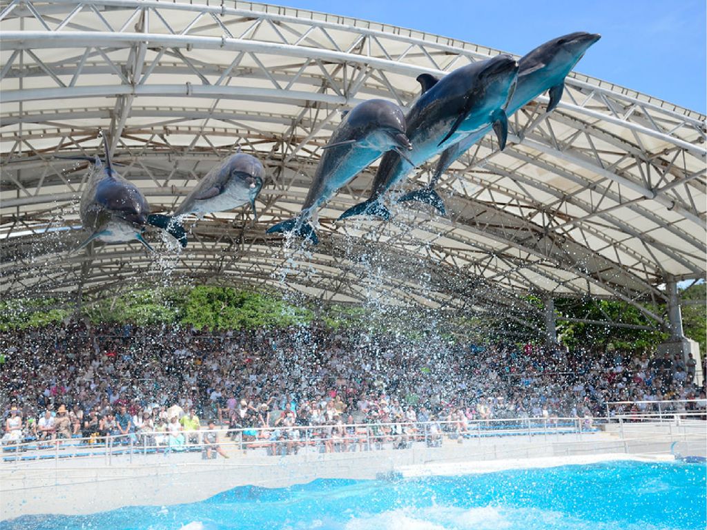 畔畔官網_日本A_工作區域 1 複本 3