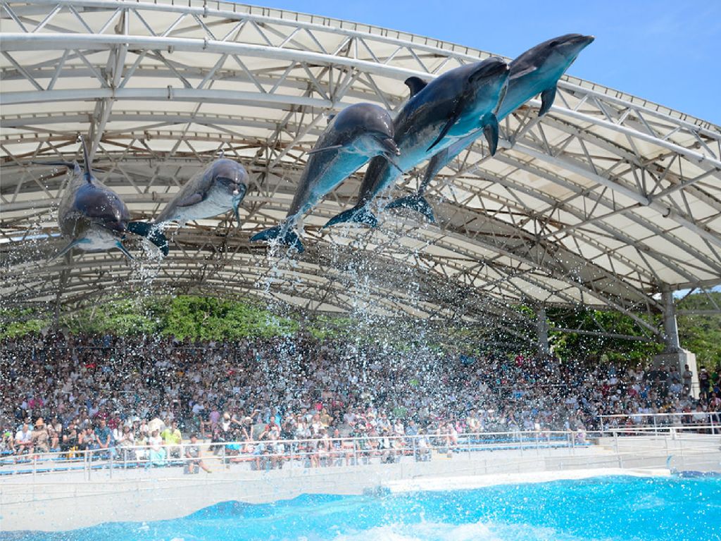 畔畔官網_日本A_工作區域 1 複本 11