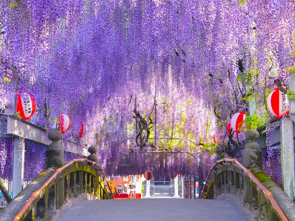 畔畔官網_日本A_工作區域 1 複本 42