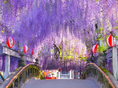 畔畔官網_日本A_工作區域 1 複本 42