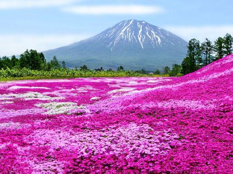 畔畔官網_日本B_工作區域 1 複本 14