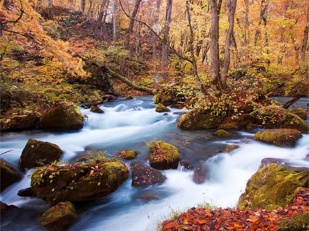 畔畔官網_日本B_工作區域 1 複本 26