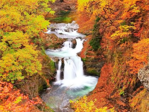 畔畔官網_日本B_工作區域 1 複本 27