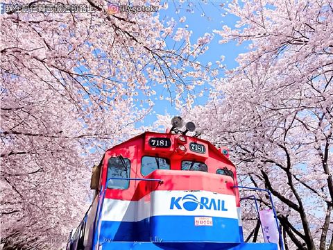 官網_韓國_商品圖片_工作區域 1 複本 32