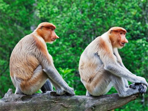 畔畔官網_新馬_商品圖片_工作區域 1 複本 35