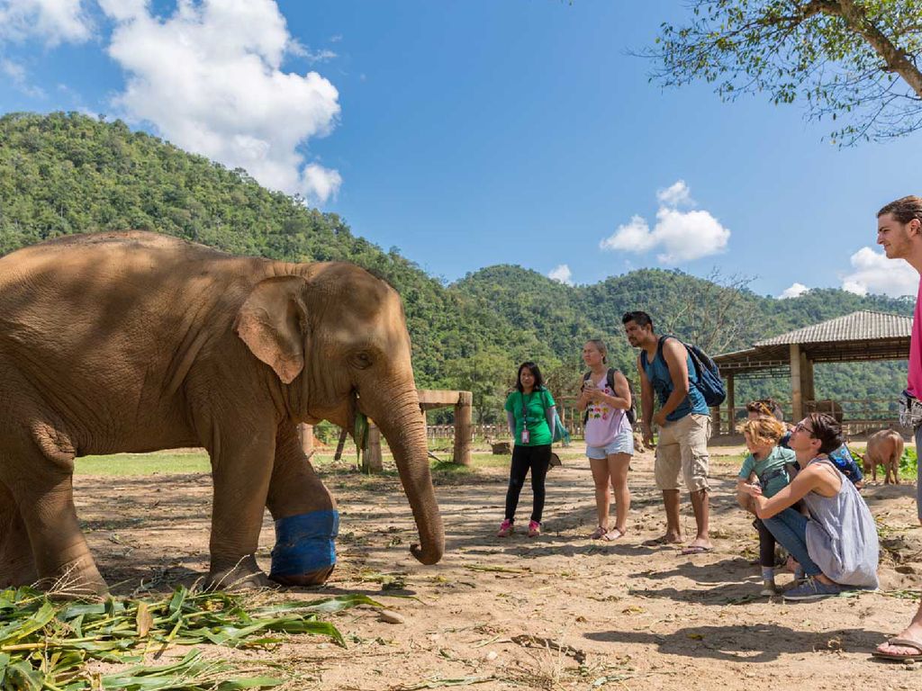 畔畔官網_泰國_商品圖片_工作區域 1 複本 25