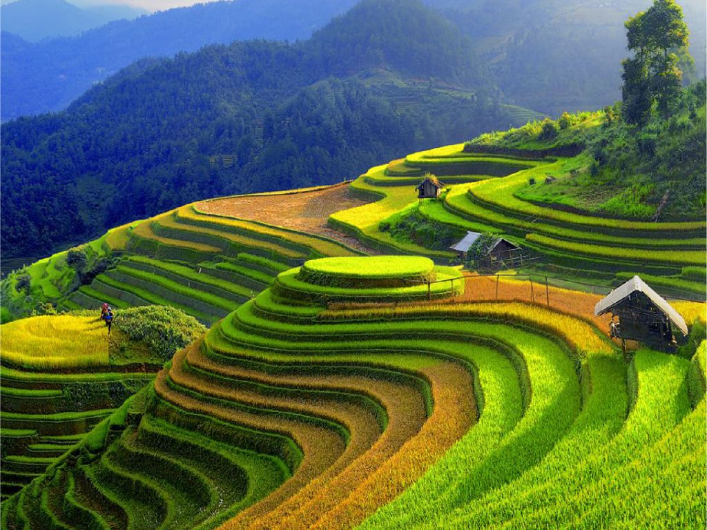 畔畔官網_越南_商品圖片_工作區域 1 複本 23