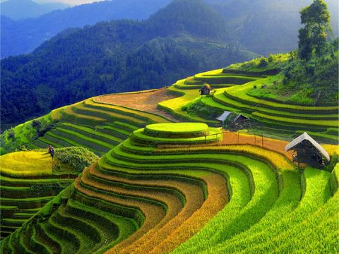 畔畔官網_越南_商品圖片_工作區域 1 複本 23