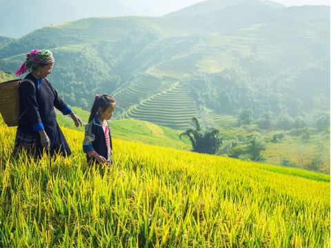 畔畔官網_越南_商品圖片_工作區域 1 複本 33