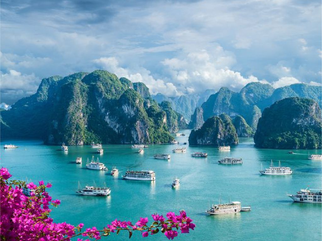 畔畔官網_越南_商品圖片_工作區域 1 複本 13