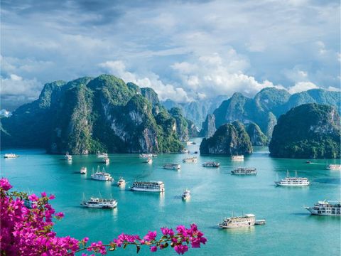 畔畔官網_越南_商品圖片_工作區域 1 複本 13