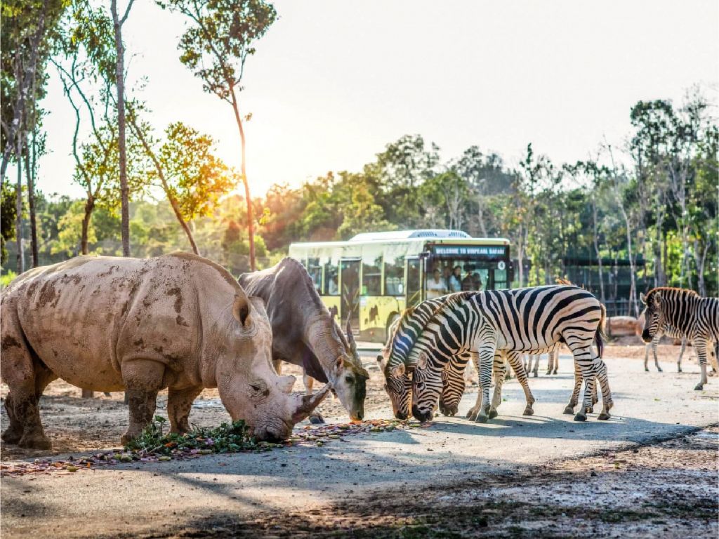 畔畔官網_越南_商品圖片_工作區域 1 複本 5