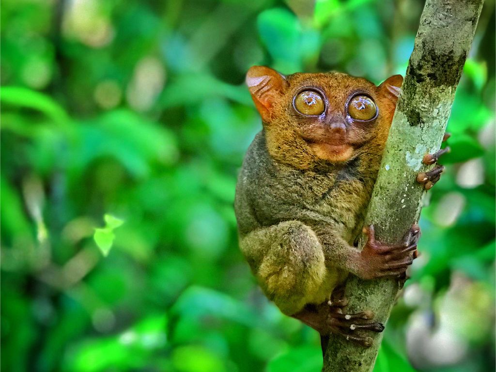 南線_工作區域 1 複本 16