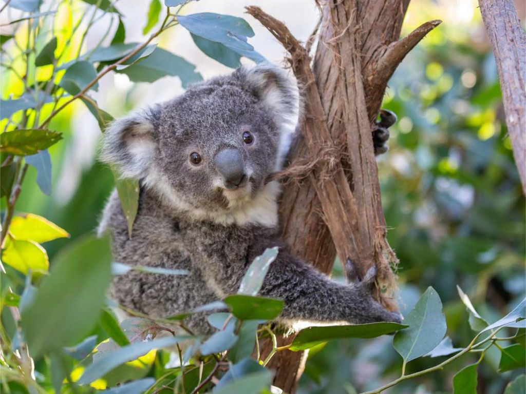 長線A_工作區域 1 複本 28