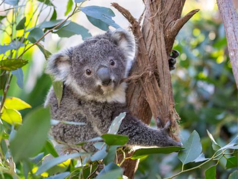 長線A_工作區域 1 複本 28