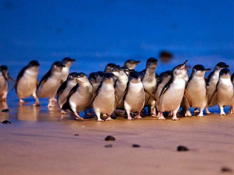 長線A_工作區域 1 複本 33