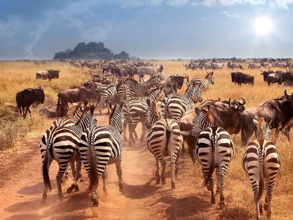 長線A_工作區域 1 複本 48